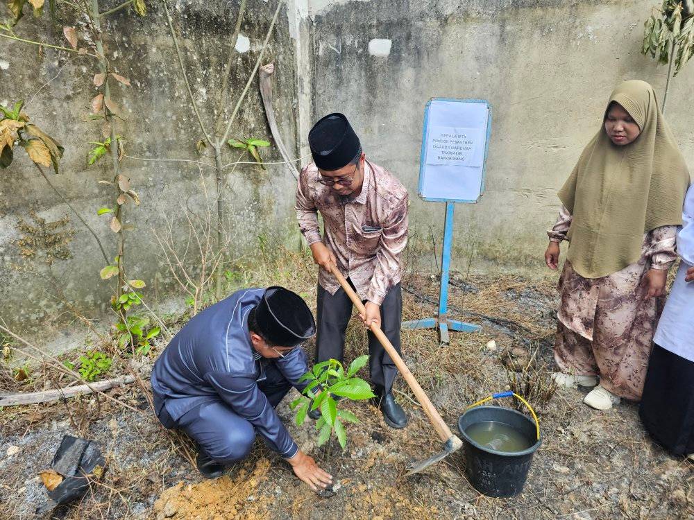 Penanaman Bibit Matoa di Lingkungan PPDNTB, Agenda Nasional Kemenag